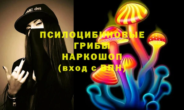 a pvp Иннополис