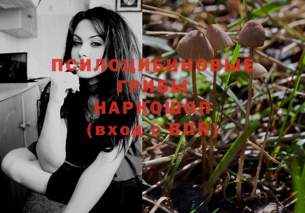 a pvp Иннополис