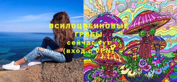 ешки Инсар