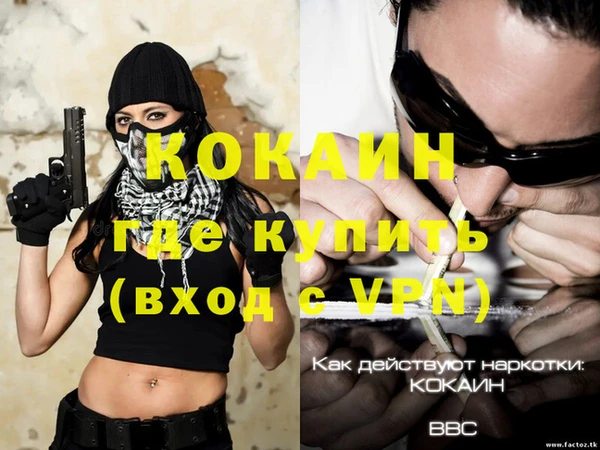 ешки Инсар